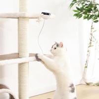 Electric Cat Toy Ball with Fur & Rope – Self-Moving Chase Toy – grooming kit