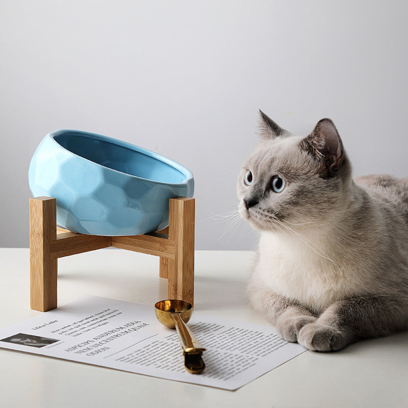 Ergonomic Tilted Pet Bowl – Anti-Vomit & Neck-Friendly Cat & Dog Dish