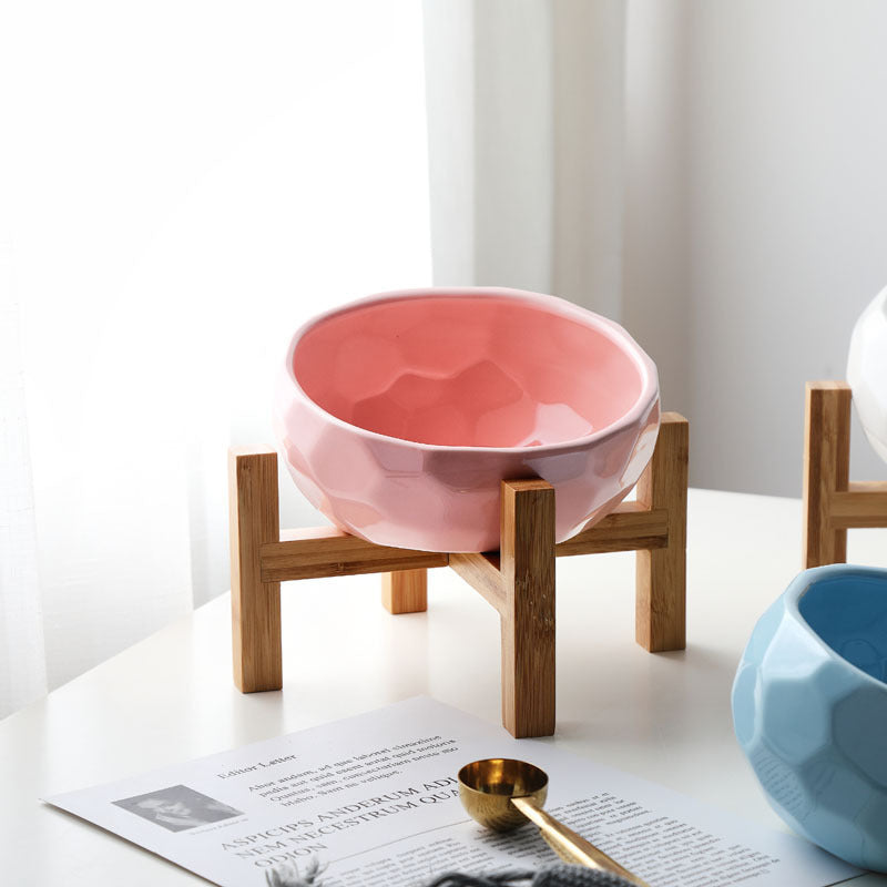 Ergonomic Tilted Pet Bowl – Anti-Vomit & Neck-Friendly Cat & Dog Dish