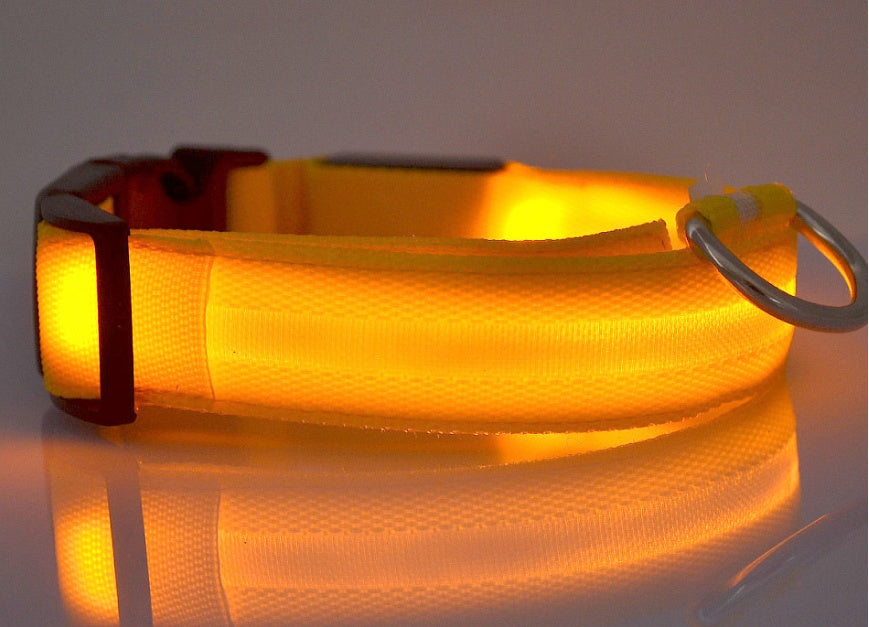 LED Safety Dog Collar – USB & Battery Powered Night Visibility