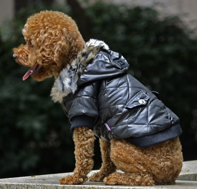 Korean Style Dog Hoodie – Fleece Winter Coat for Small & Medium Dogs