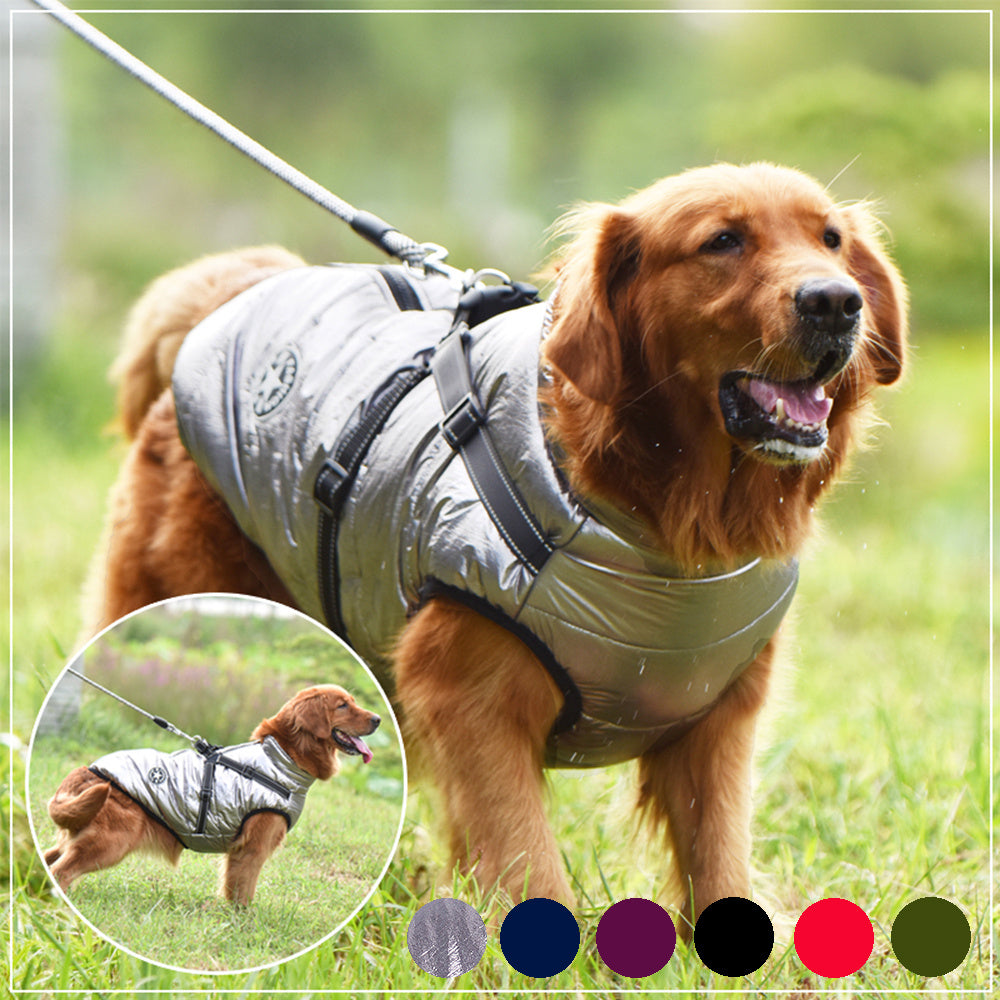 Waterproof Winter Dog Coat with Built-In Harness – Warm & Windproof