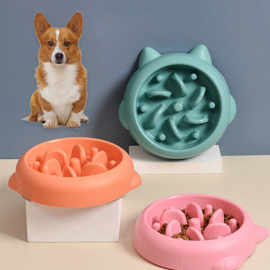 Slow Feeder Dog Bowl – Anti-Choking, Maze Design for Healthy Eating – grooming kit