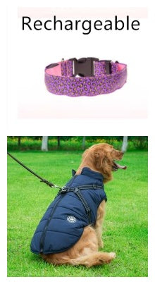 LED Safety Dog Collar – High-Visibility Night Light Collar with 4 Flash Modes
