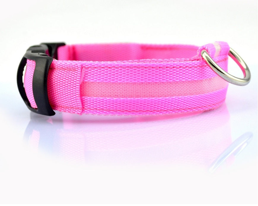 LED Safety Dog Collar – USB & Battery Powered Night Visibility