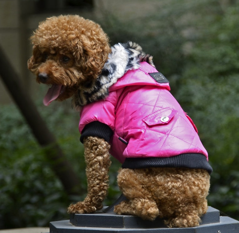 Korean Style Dog Hoodie – Fleece Winter Coat for Small & Medium Dogs