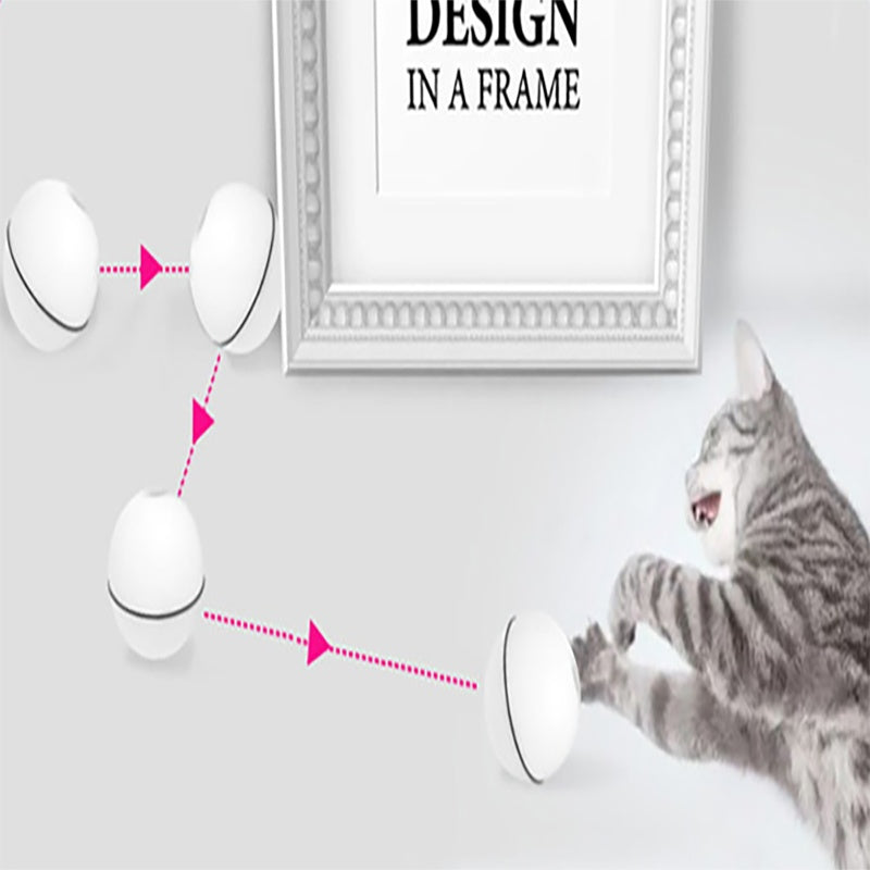 360° Rotating Cat Ball Toy with LED Lights, Feather, Bell & Catnip – USB Rechargeable – grooming kit