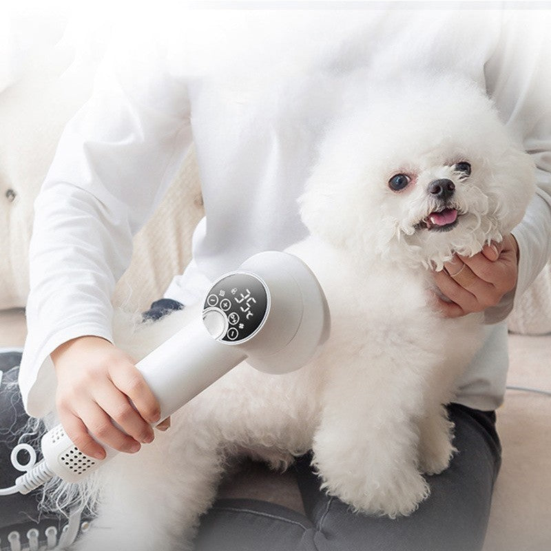 NEX 2-in-1 Smart Pet Hair Dryer with Comb – Quiet Grooming Tool for Dogs & Cats