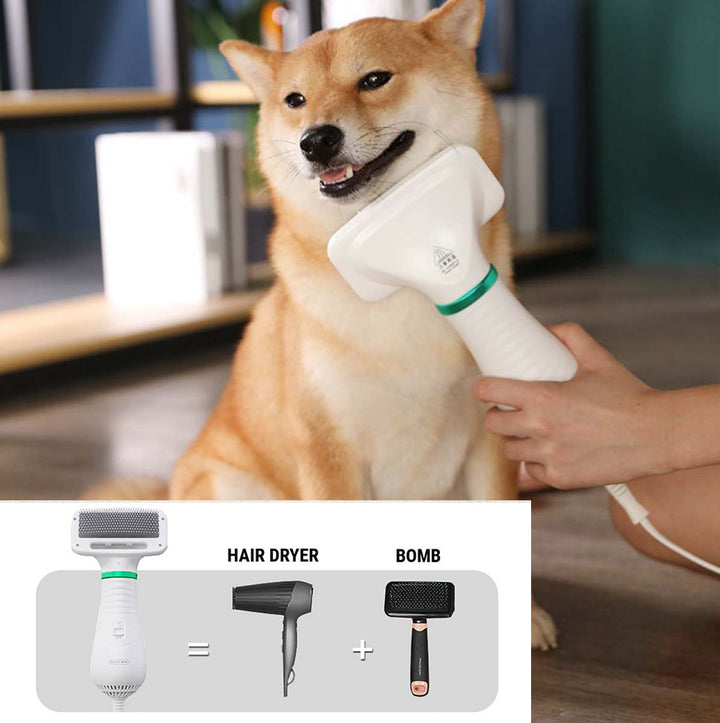2-in-1 Pet Hair Dryer & Grooming Comb – Quiet Dryer with Safe Heat for Dogs & Cats – grooming kit