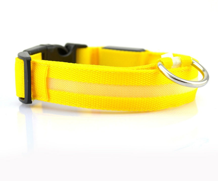 LED Safety Dog Collar – USB & Battery Powered Night Visibility