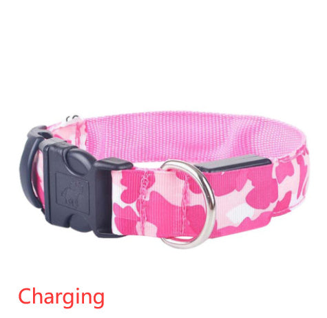 LED Light-Up Dog Collar – USB Safety Night Collar with 3 Flash Modes