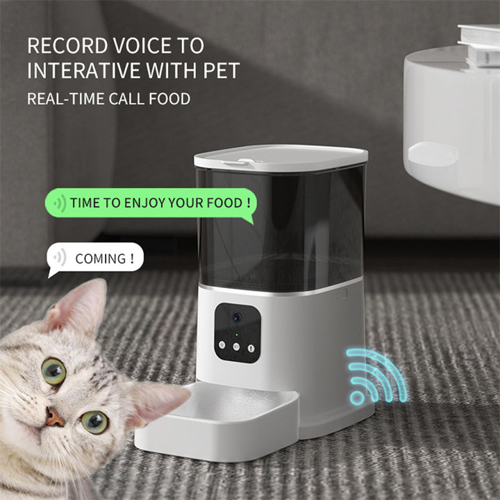 Smart WiFi Automatic Cat Feeder – 6L Capacity with App Control, Voice Feed & Video Options – grooming kit