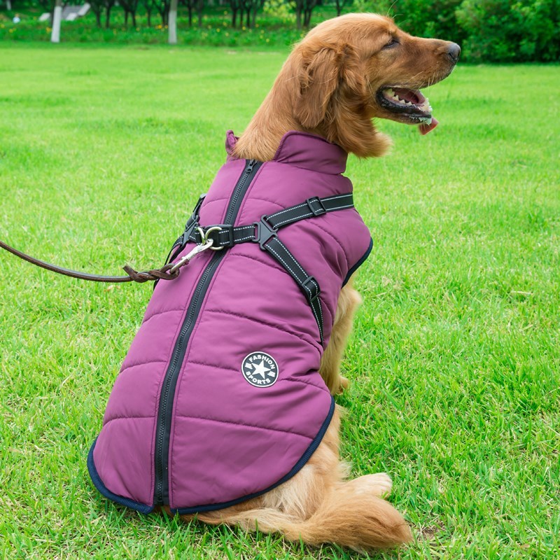 Waterproof Cotton Dog Harness Vest – Stylish Chest Strap (S–2XL)
