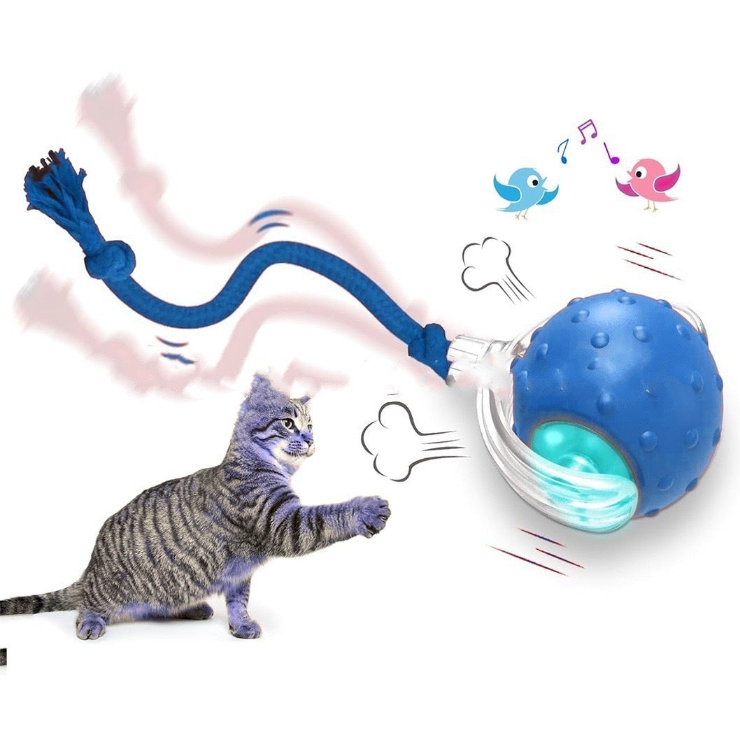 Smart Motion-Activated Cat Toy with Chirping Sound – 3 Modes