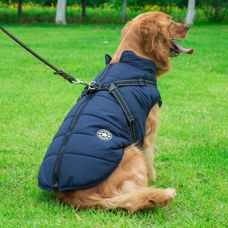 Waterproof Cotton Dog Harness Vest – Stylish Chest Strap (S–2XL)