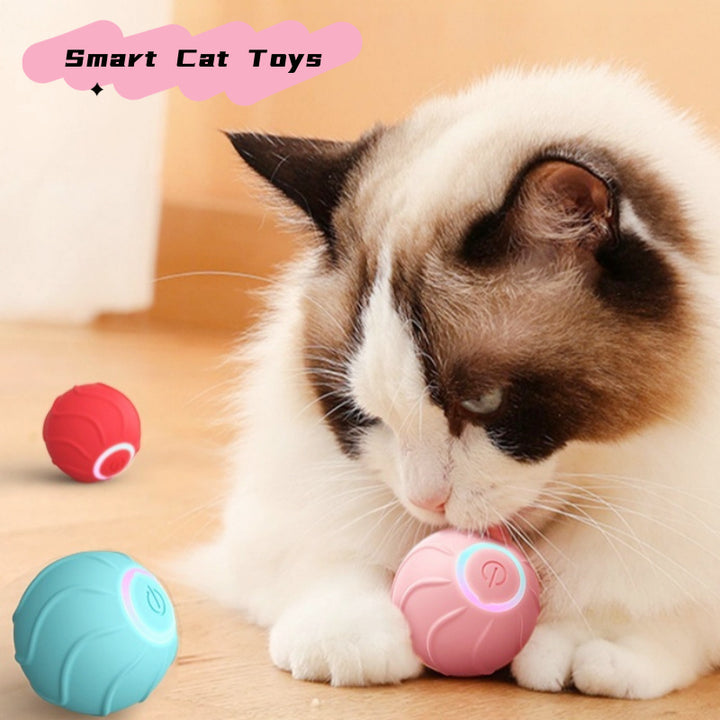 Automatic Self-Moving Silicone Cat Toy Ball – Hands-Free Rolling Toy for Indoor Cats – grooming kit