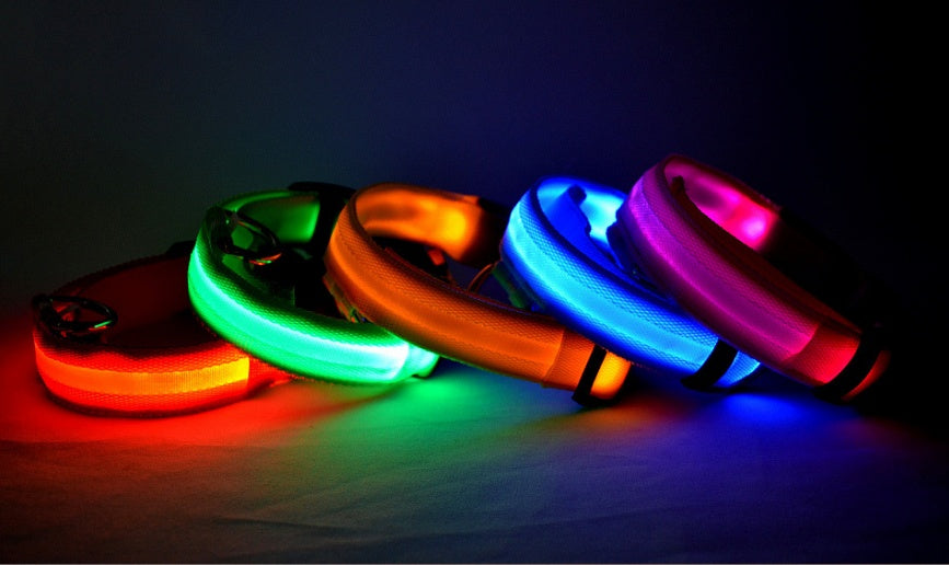 LED Safety Dog Collar – USB & Battery Powered Night Visibility