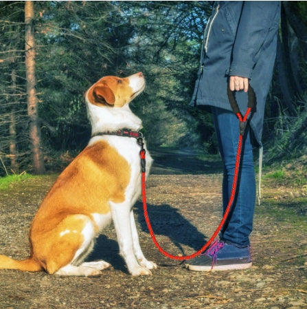 Heavy-Duty Reflective Dog Leash – Soft Foam Handle & Night Safety – grooming kit