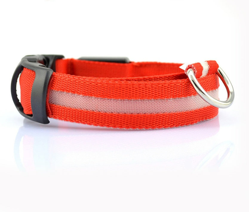 LED Safety Dog Collar – USB & Battery Powered Night Visibility