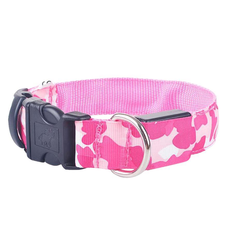 LED Light-Up Dog Collar – USB Safety Night Collar with 3 Flash Modes