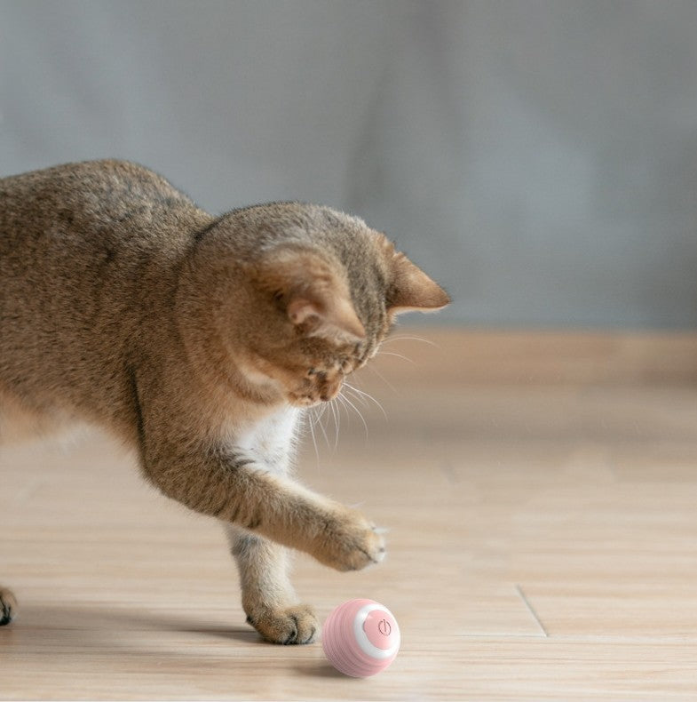 Rechargeable Smart Cat Toy Ball – Auto-Rolling Silicone Toy for Indoor Cats