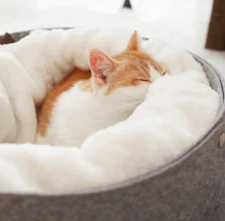 Windproof Cat House – Warm & Removable Nest for Indoor Winter Comfort – grooming kit