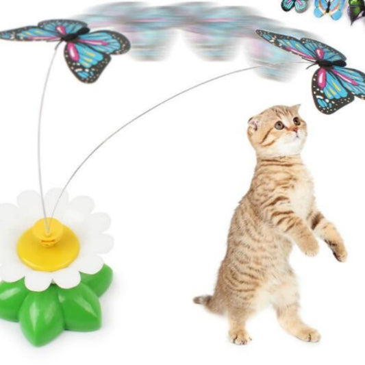 Electric Rotating Butterfly & Bird Cat Toy – Interactive 360° Motion Toy for Indoor Cats – grooming kit
