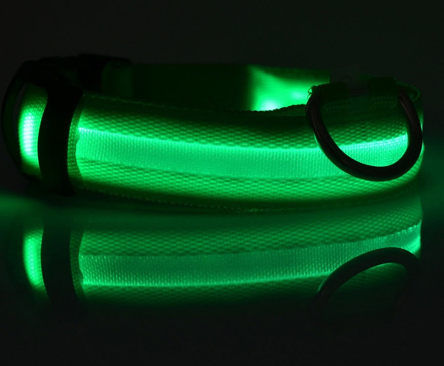 LED Safety Dog Collar – USB & Battery Powered Night Visibility