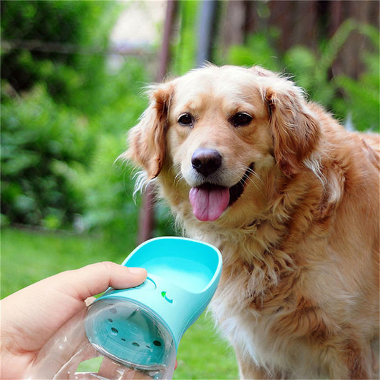 Portable Pet Water Bottle – Leak-Proof Travel Dispenser for Dogs & Cats – grooming kit