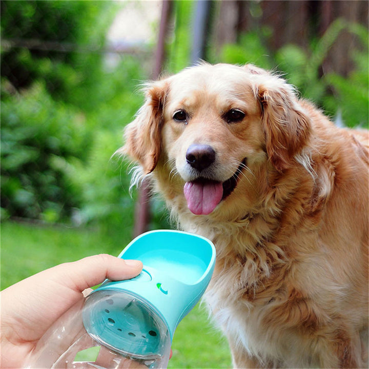 Portable Pet Water Bottle – Leak-Proof Travel Dispenser for Dogs & Cats – grooming kit