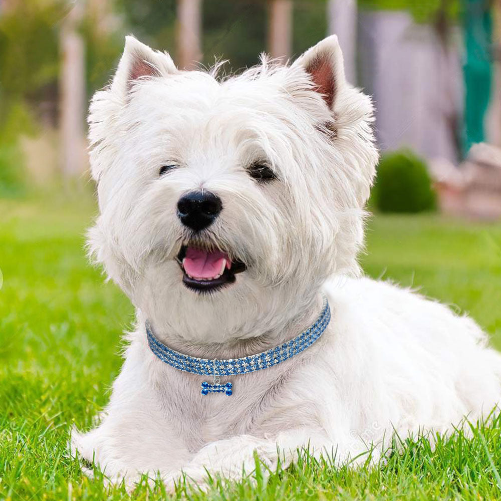 Crystal Rhinestone Pet Collar – Bling Necklace for Small Dogs & Cats