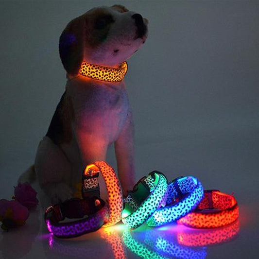 LED Safety Dog Collar – High-Visibility Night Light Collar with 4 Flash Modes – grooming kit