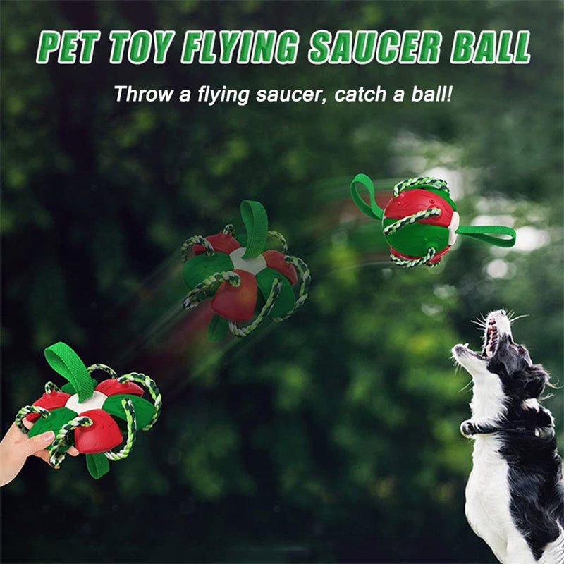 2-in-1 Transforming Frisbee Ball Toy for Dogs – Teething, Tug, Fetch & Water Play – grooming kit