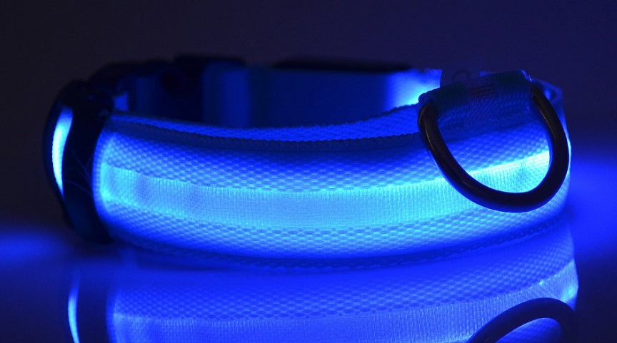 LED Safety Dog Collar – USB & Battery Powered Night Visibility