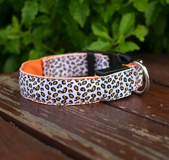LED Safety Dog Collar – High-Visibility Night Light Collar with 4 Flash Modes