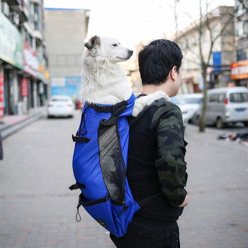 Breathable Polyester Pet Carrier Bag – Travel Tote for Cats & Small Dogs