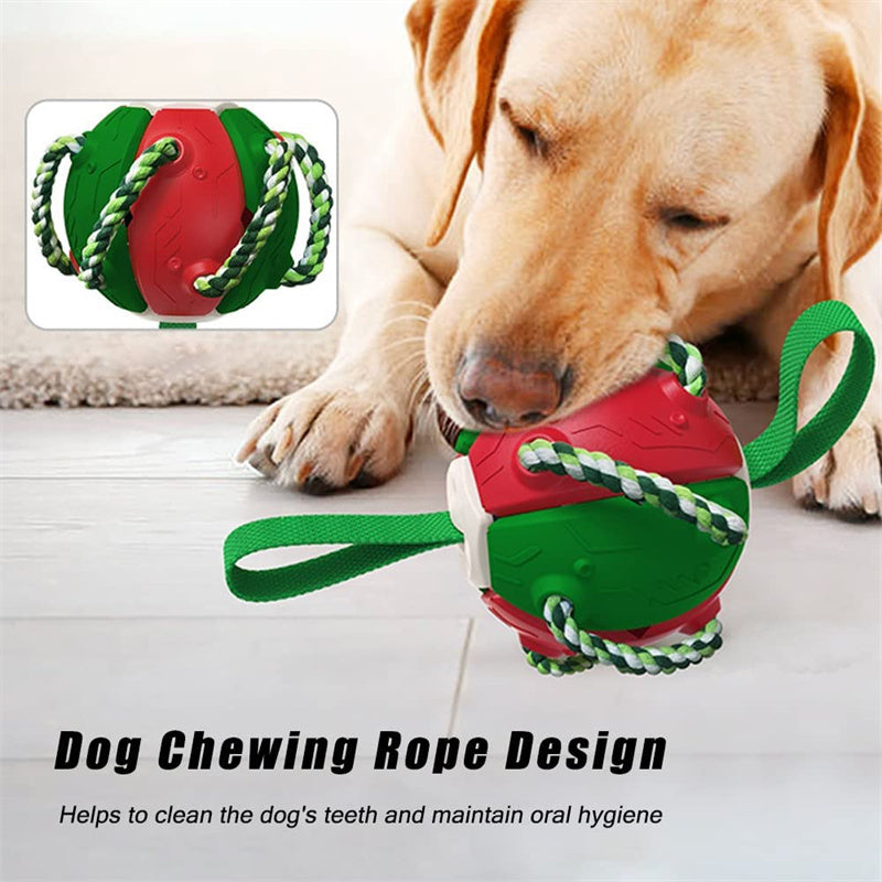 2-in-1 Transforming Frisbee Ball Toy for Dogs – Teething, Tug, Fetch & Water Play – grooming kit