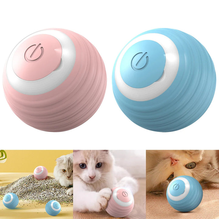 Rechargeable Smart Cat Toy Ball – Auto-Rolling Silicone Toy for Indoor Cats – grooming kit