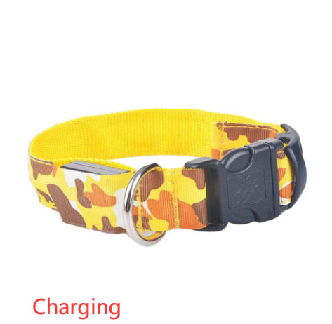 LED Light-Up Dog Collar – USB Safety Night Collar with 3 Flash Modes