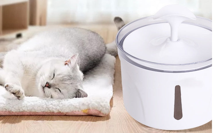 2.5L Filtered Pet Water Fountain – Automatic Dispenser for Cats & Dogs – grooming kit