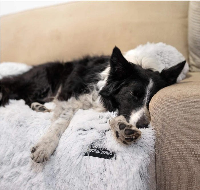 Washable Pet Seat Cushion – Non-Slip Protector for Home & Car