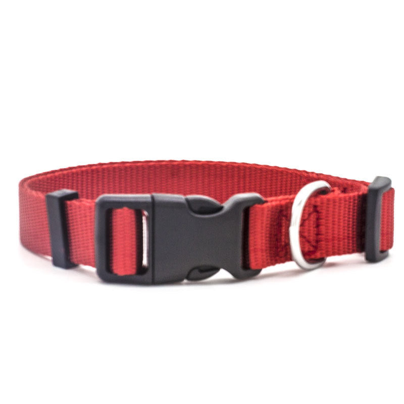 Adjustable Soft Nylon Pet Collar – Comfortable & Durable for Dogs and Cats – grooming kit