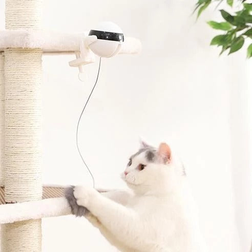 Electric Cat Toy Ball with Fur & Rope – Self-Moving Chase Toy