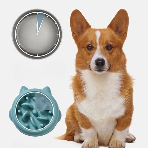 Slow Feeder Dog Bowl – Anti-Choking, Maze Design for Healthy Eating