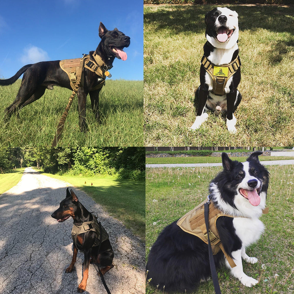 Tactical Dog Harness with Molle – Military-Grade No-Pull Vest