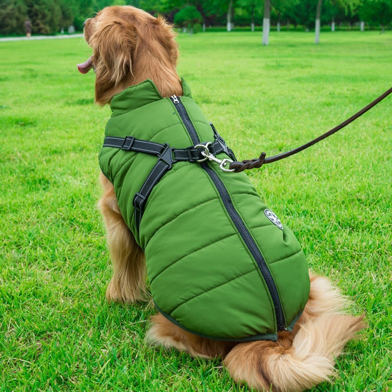 Waterproof Cotton Dog Harness Vest – Stylish Chest Strap (S–2XL)