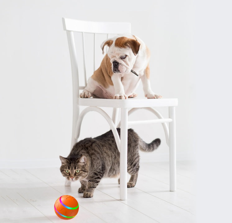 Interactive Smart Rolling Cat Ball Toy – USB Rechargeable | Auto Movement & Remote Control