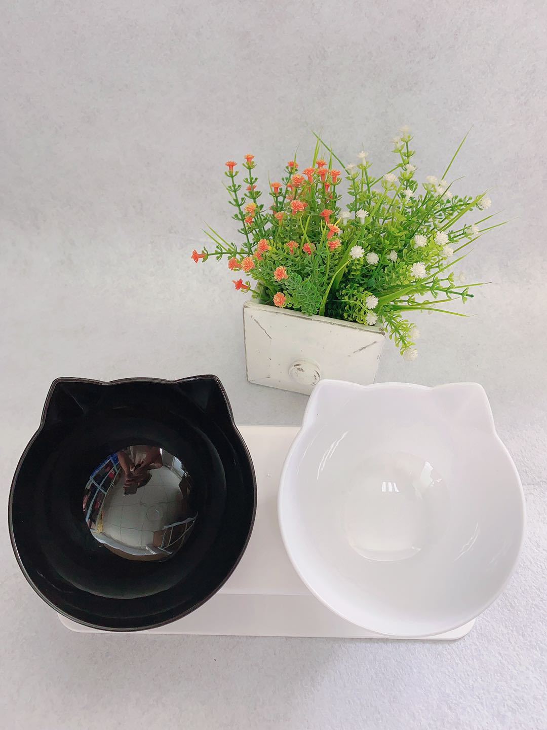 Cat Head Transparent Double Bowl – 15° Tilted Ergonomic Feeder for Cats & Small Dogs