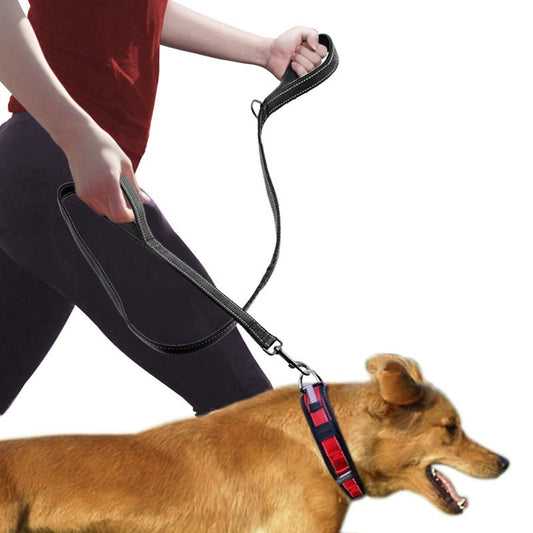Reflective Dual-Handle Dog Leash – 180cm Safe Control for Day & Night Walks – grooming kit