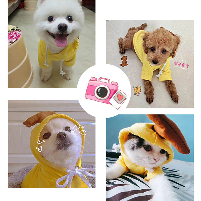 Cozy Fruit Hoodie for Dogs – Cute Winter Pet Sweater for Small & Medium Breeds